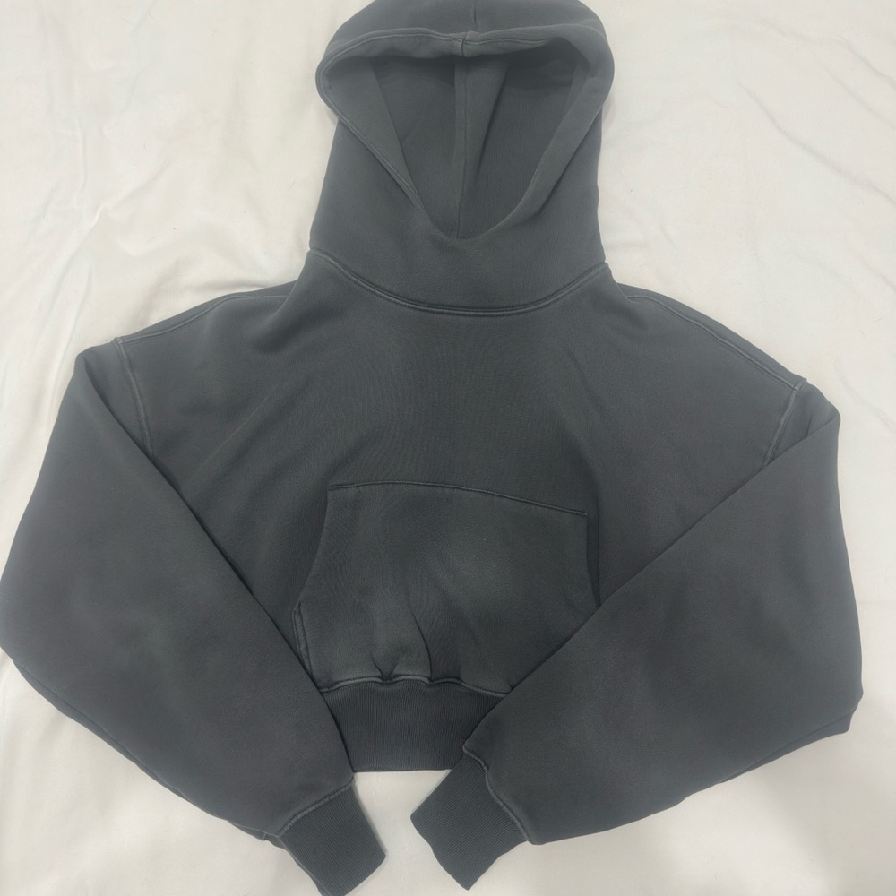 Aritzia TNA Cropped Oversized Sweatfleece (size 2 - grey)